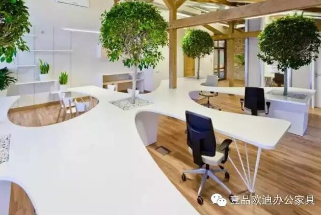 为什么办公室里一定要养植物？-香蕉成人在线网站欧迪办公家具